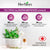 IMMUNE ECHINACEA BITAMIH C ZINC (orange flavor)