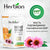 IMMUNE ECHINACEA BITAMIH C ZINC (orange flavor)